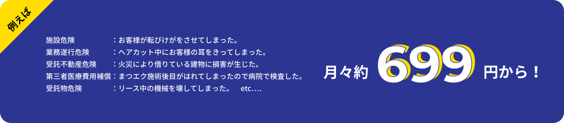 月々約699円から！